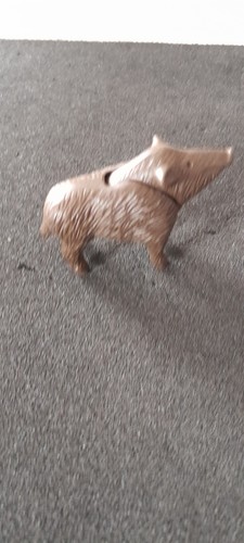 Animal femelle sanglier - animal,